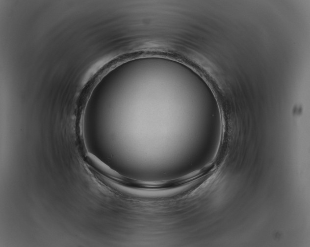 X0000097761066200803071250