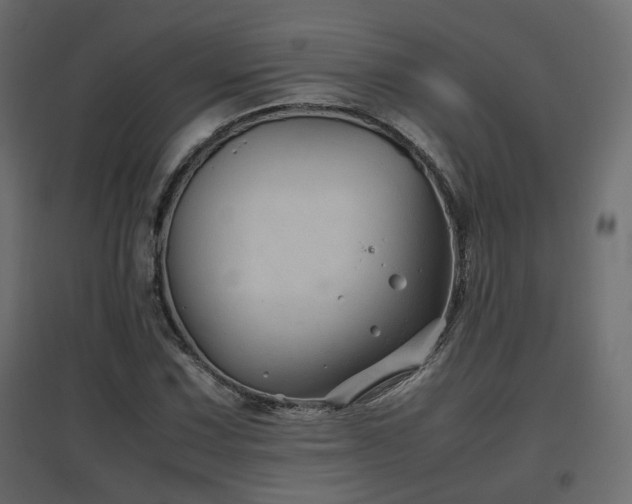 X0000097761067200803071250