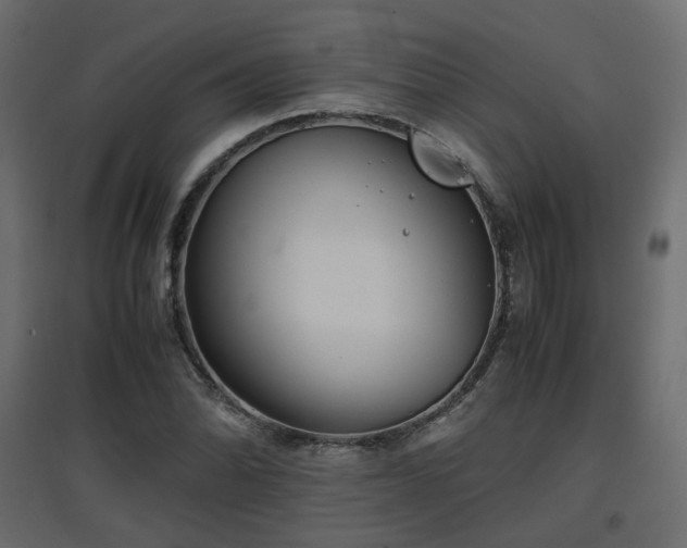 X0000097761070200803071249