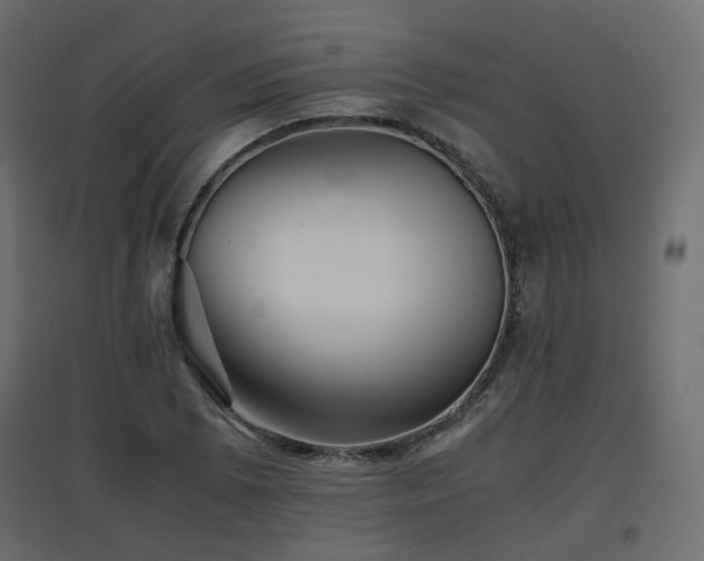 X0000097761073200803071249
