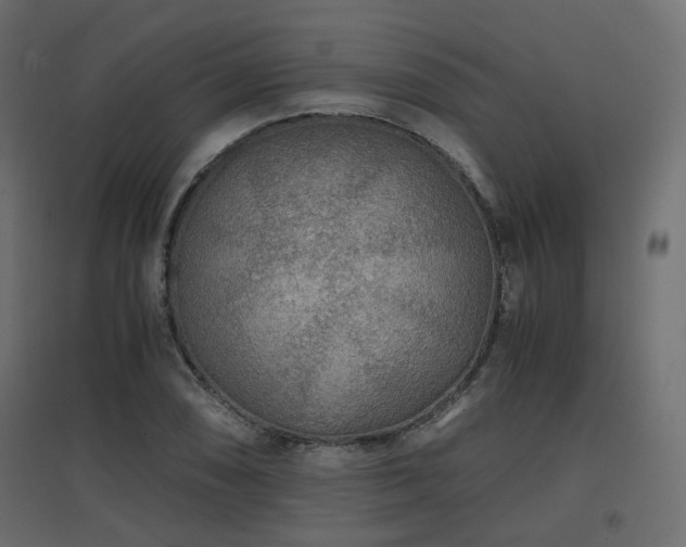 X0000097761074200803071249