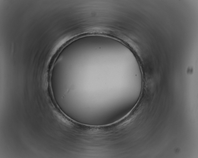 X0000097761075200803071249