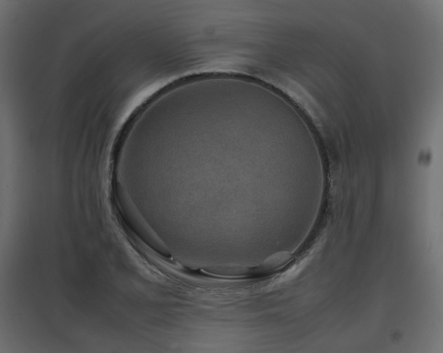 X0000097761077200803071249