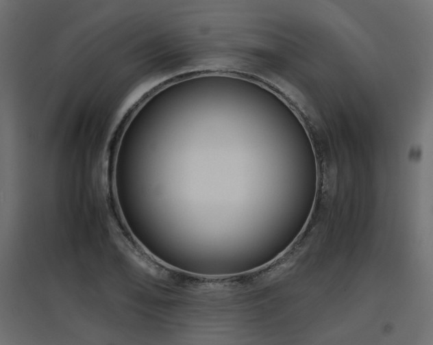 X0000097761078200803071249