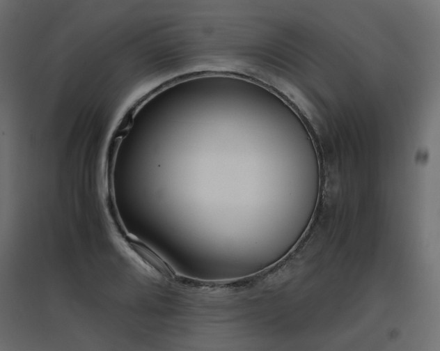 X0000097761080200803071249