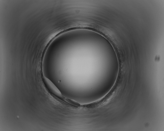 X0000097761081200803071249