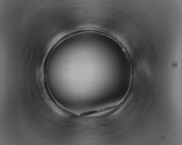 X0000097761082200803071249
