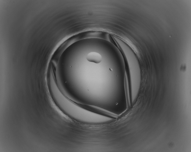 X0000097761084200803071249