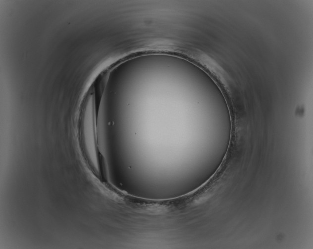X0000097761085200803071249