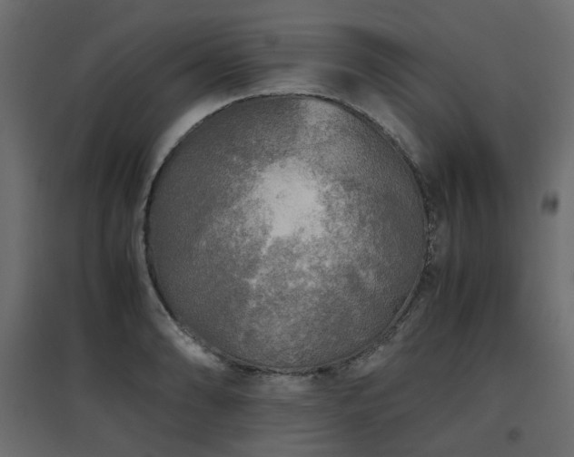 X0000097761086200803071249