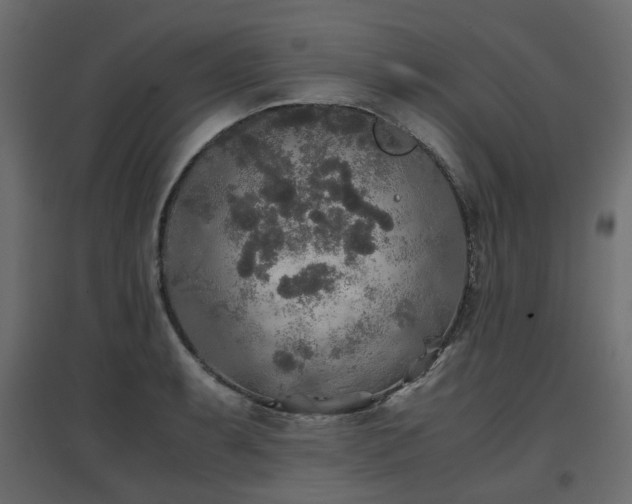 X0000097761087200803071249