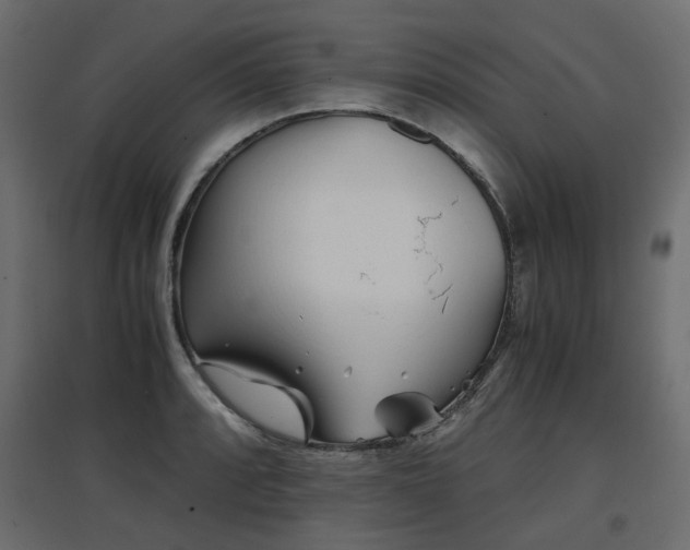 X0000097761088200803071249