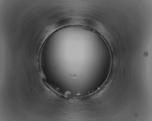 X0000097761089200803071249