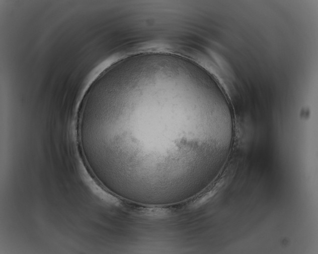 X0000097761090200803071249