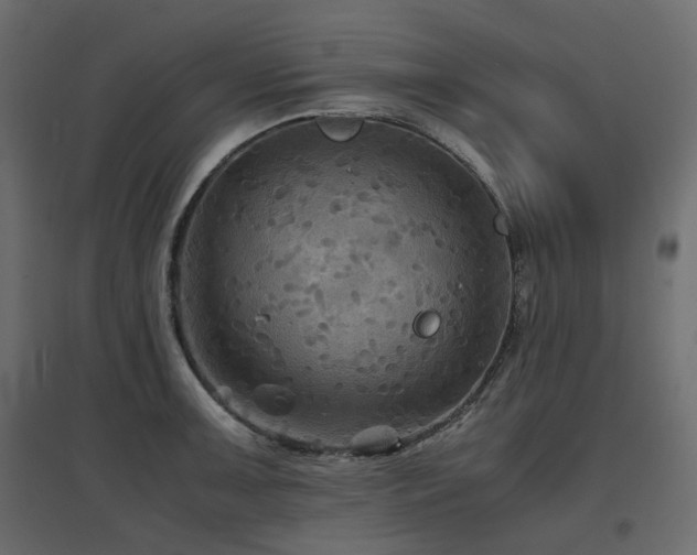 X0000097761091200803071249