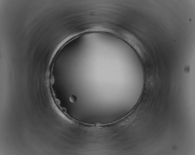 X0000097761092200803071249