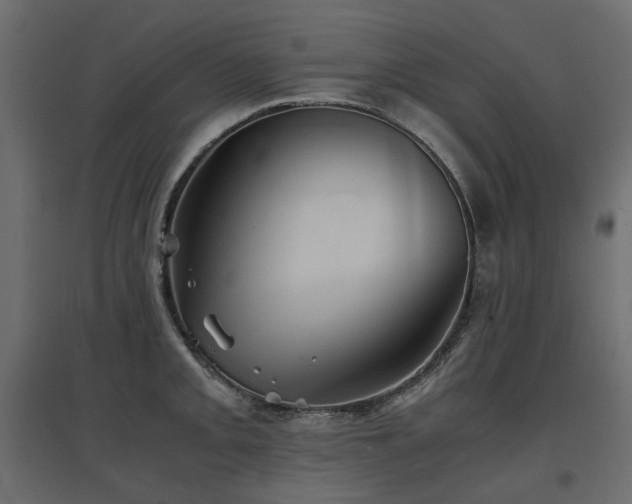 X0000097761093200803071249