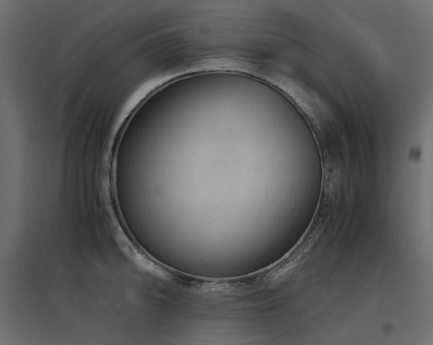X0000097761094200803071249