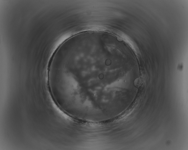 X0000097761095200803071249