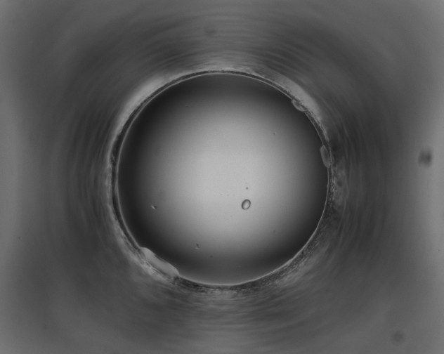 X0000097761096200803071249