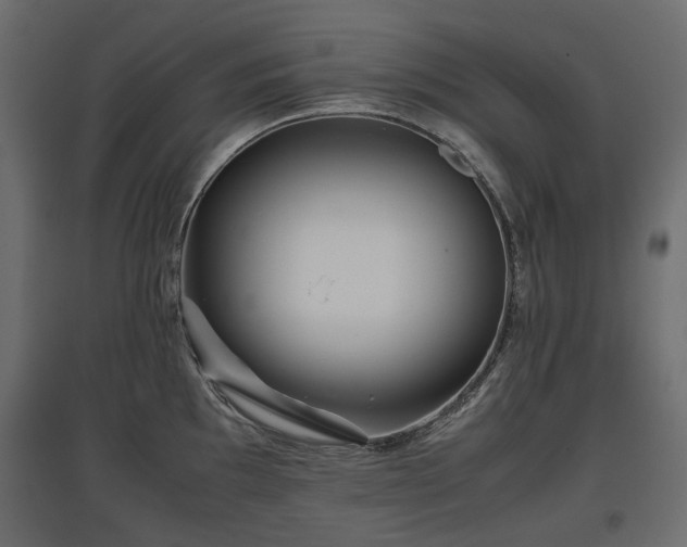 X0000097761097200803071249