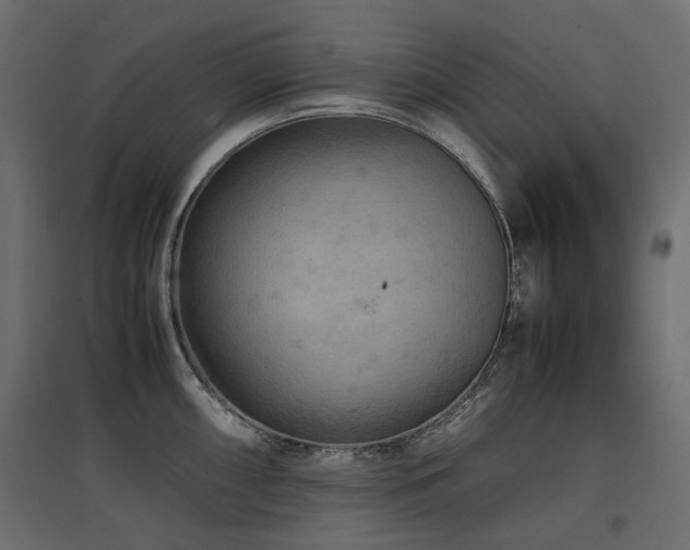 X0000097761098200803071249