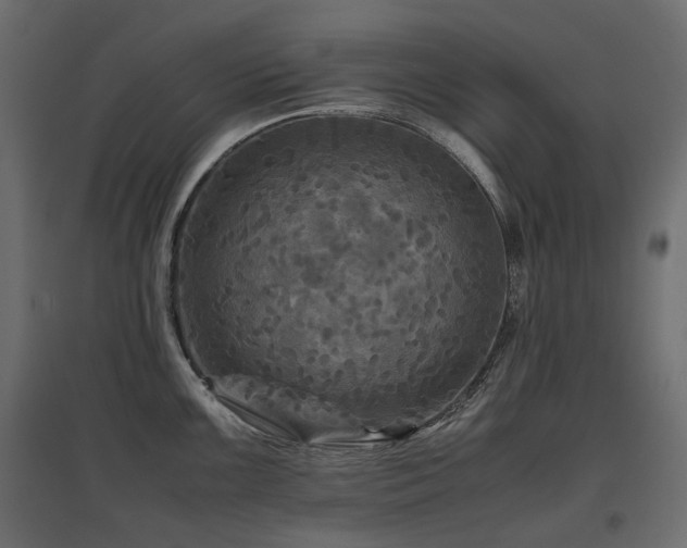 X0000097761099200803071249