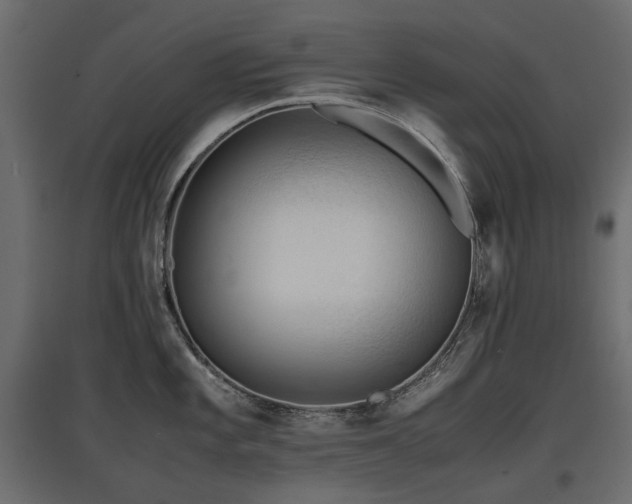 X0000097761101200803071249