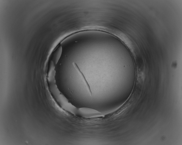 X0000097761102200803071249