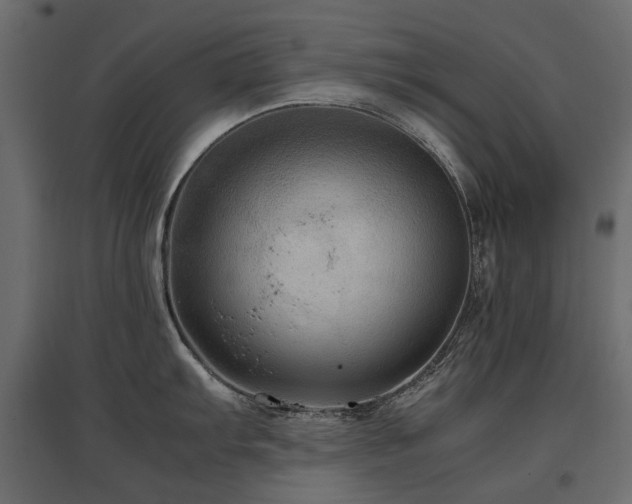 X0000097761103200803071249