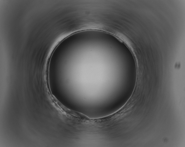 X0000097761104200803071249