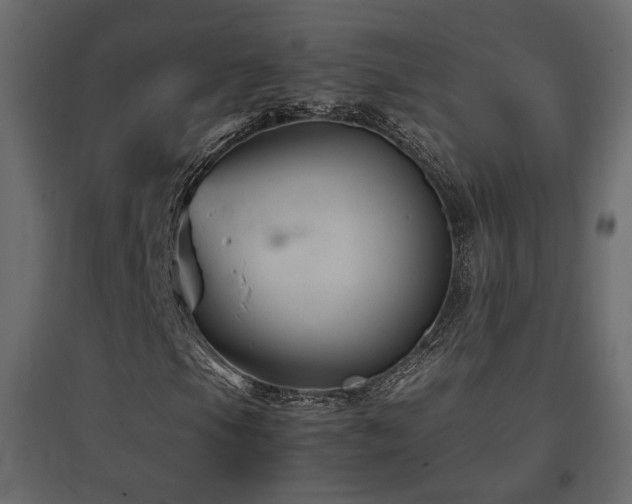 X0000097761105200803071248