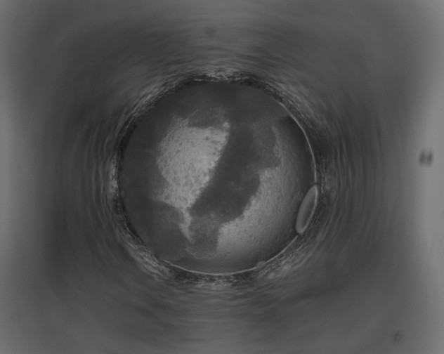 X0000097761106200803071248