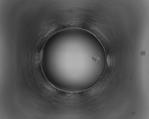 X0000097761107200803071248
