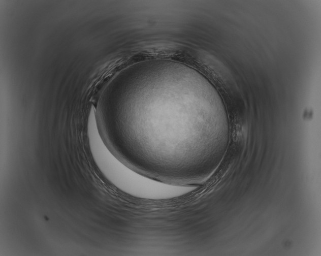 X0000097761108200803071248