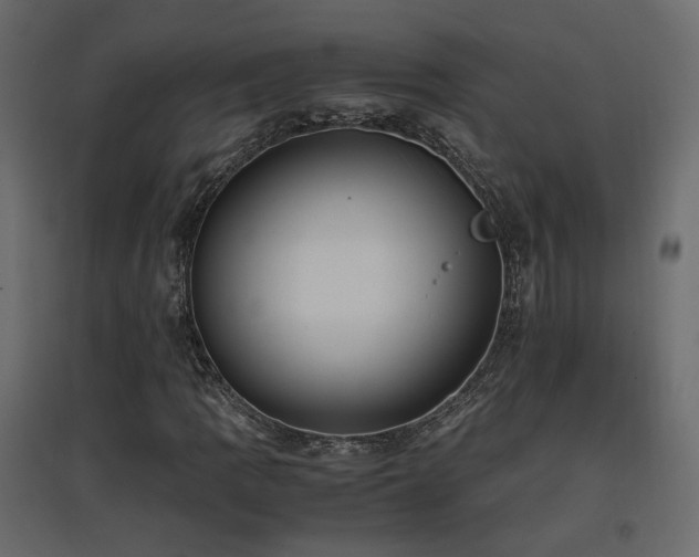 X0000097761109200803071248