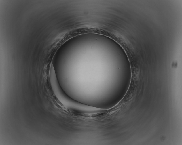 X0000097761110200803071248