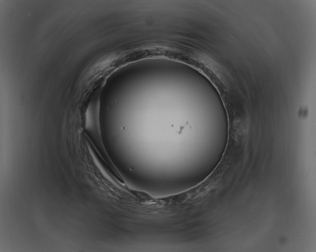 X0000097761111200803071248