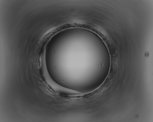 X0000097761112200803071248