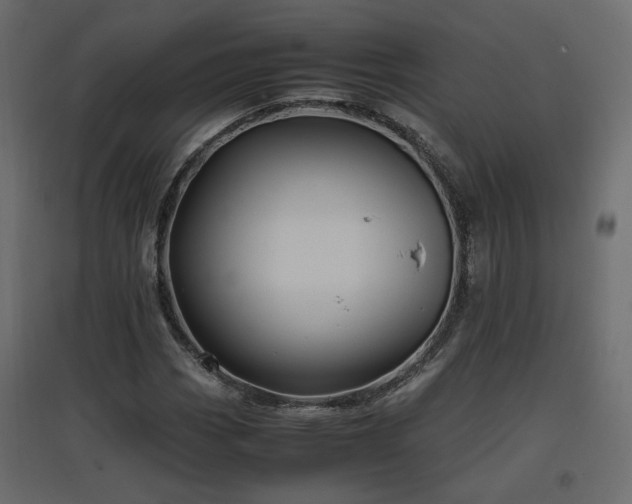 X0000097761113200803071248