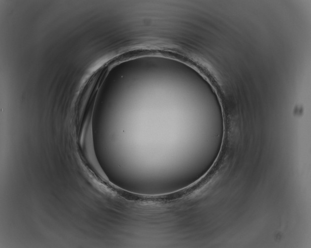 X0000097761114200803071248