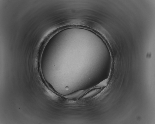 X0000097761115200803071248