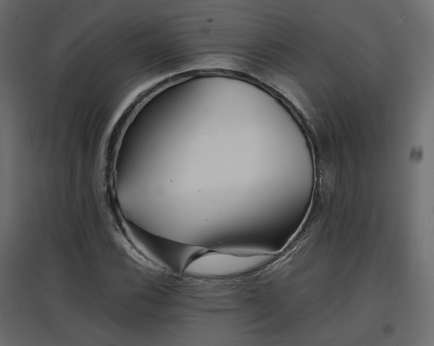 X0000097761116200803071248