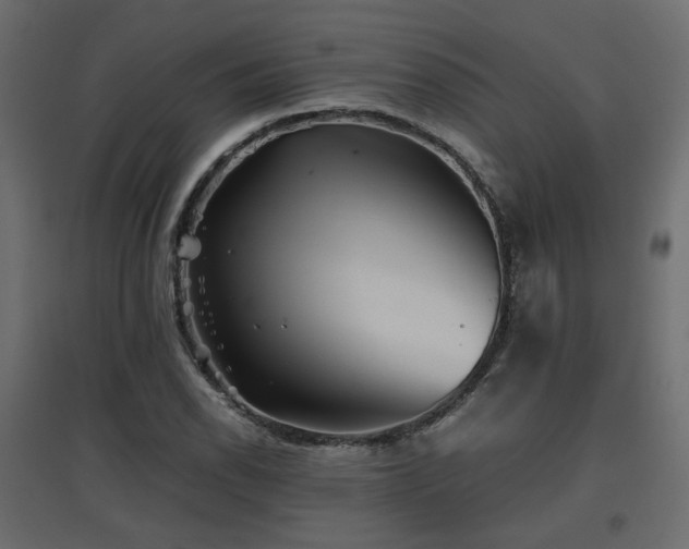 X0000097761118200803071249
