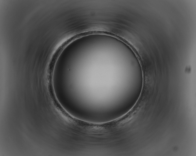X0000097761119200803071249