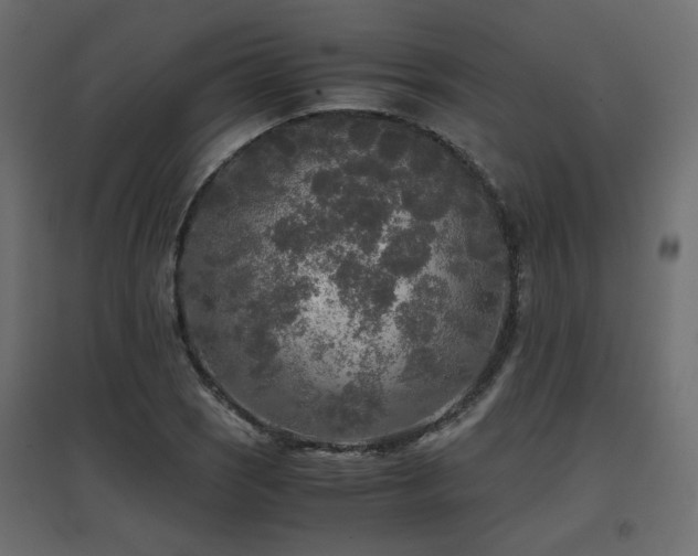 X0000097761121200803071249