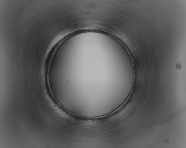 X0000097761122200803071249