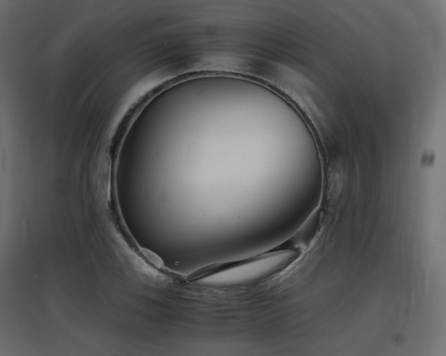 X0000097761123200803071249