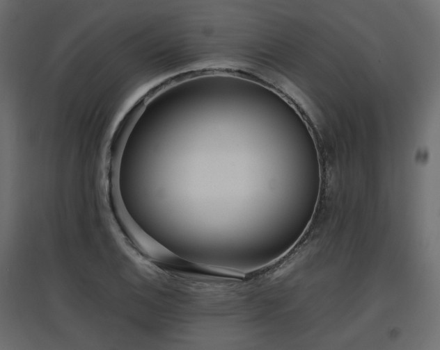 X0000097761124200803071249