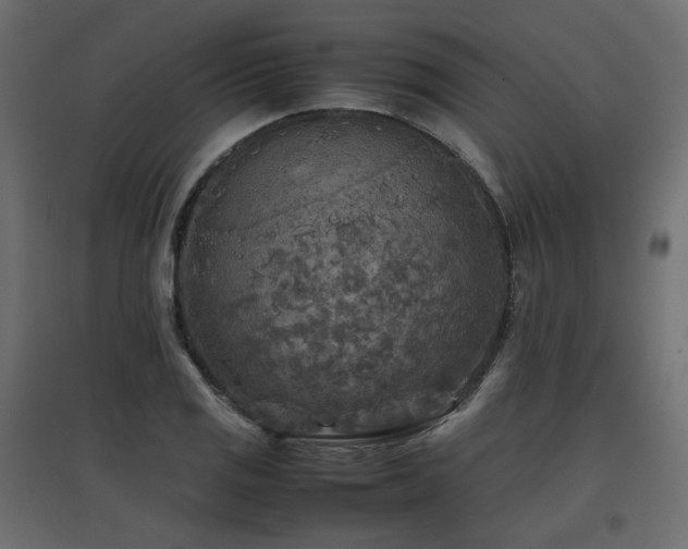 X0000097761125200803071249